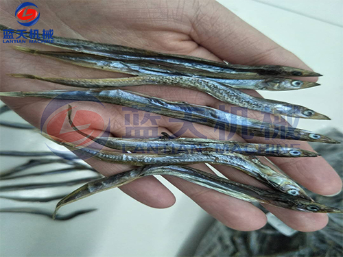 魚干烘干機烘干現(xiàn)場